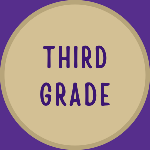 3rd grade